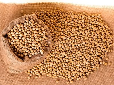 soybeans-plants-seeds-bag-thumbnail